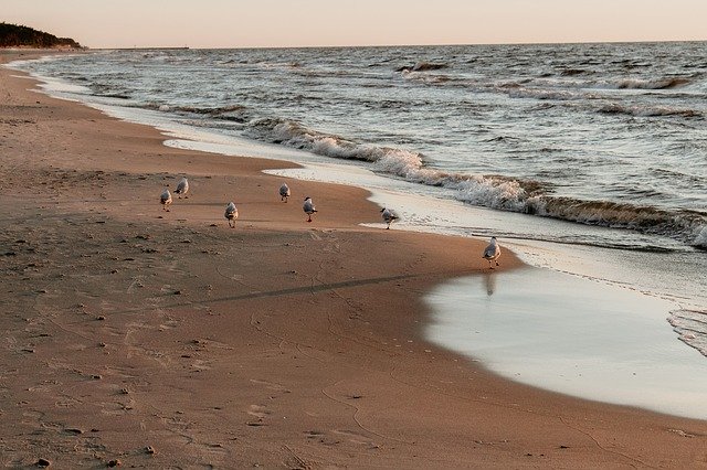 Muat turun percuma Sea Beach Holidays - foto atau gambar percuma untuk diedit dengan editor imej dalam talian GIMP