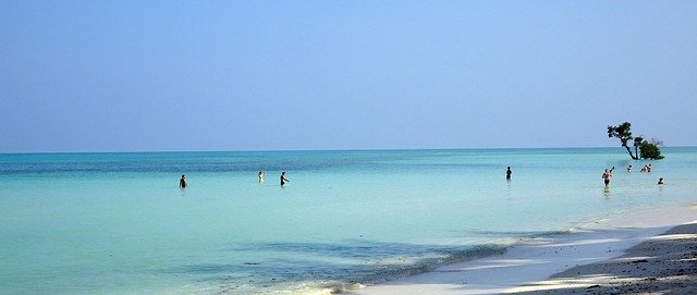 Free download Sea Beach Shallow -  free photo or picture to be edited with GIMP online image editor