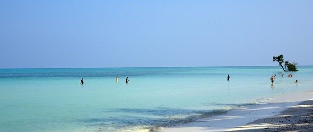 ດາວ​ໂຫຼດ​ຟຣີ Sea Beach Shallow - ຮູບ​ພາບ​ຟຣີ​ຫຼື​ຮູບ​ພາບ​ທີ່​ຈະ​ໄດ້​ຮັບ​ການ​ແກ້​ໄຂ​ກັບ GIMP ອອນ​ໄລ​ນ​໌​ບັນ​ນາ​ທິ​ການ​ຮູບ​ພາບ​