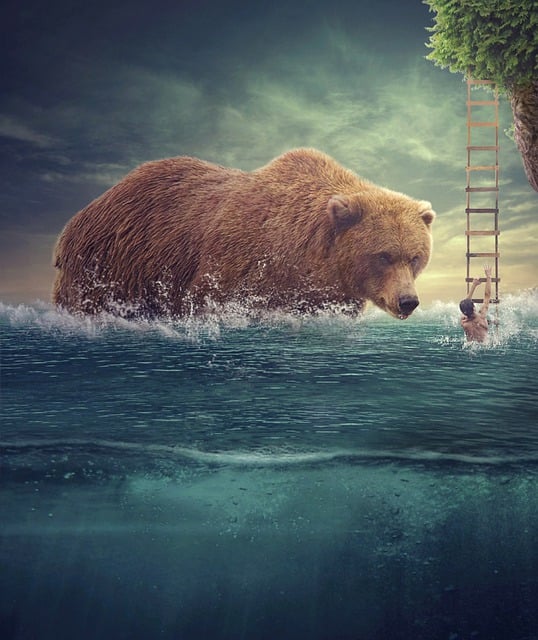 Free download sea bear surreal man digital art free picture to be edited with GIMP free online image editor