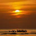 Seabirds and sunset  screen for extension Chrome web store in OffiDocs Chromium