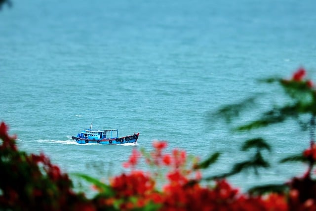 Free download sea boat ship scenery forest free picture to be edited with GIMP free online image editor