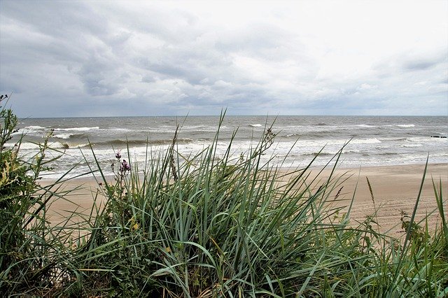 Descărcare gratuită Sea Coast Dune - fotografie sau imagini gratuite pentru a fi editate cu editorul de imagini online GIMP