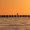 Sea embankment  screen for extension Chrome web store in OffiDocs Chromium