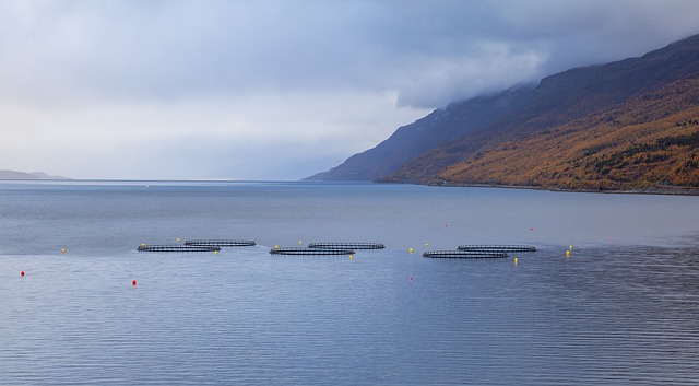 Free download sea fish farming bag breeding fjord free picture to be edited with GIMP free online image editor