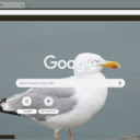 Seagull  screen for extension Chrome web store in OffiDocs Chromium