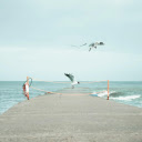 Seagulls Flying over a Concrete Pier  screen for extension Chrome web store in OffiDocs Chromium