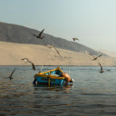 Seagulls Flying over Man on Boat  screen for extension Chrome web store in OffiDocs Chromium