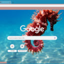 Seahorse  screen for extension Chrome web store in OffiDocs Chromium