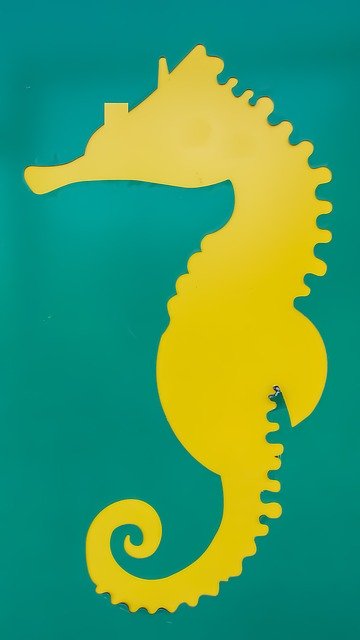 Free graphic Sea Horse Hippocampus Street Art -  to be edited by GIMP free image editor by OffiDocs