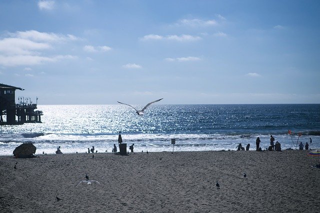 ดาวน์โหลดฟรี Sea Landscape - ภาพถ่ายหรือรูปภาพฟรีที่จะแก้ไขด้วยโปรแกรมแก้ไขรูปภาพออนไลน์ GIMP