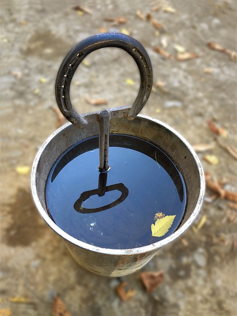 Free download seal cooling iron farrier work free picture to be edited with GIMP free online image editor