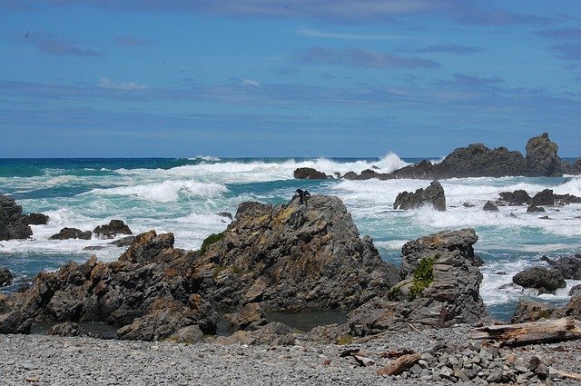 Descărcare gratuită Seal Rock New Zealand - fotografie sau imagini gratuite pentru a fi editate cu editorul de imagini online GIMP