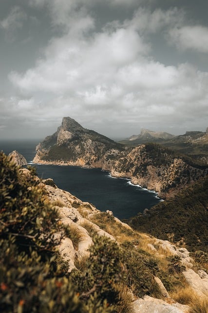Free download sea mountains palm mallorca spain free picture to be edited with GIMP free online image editor