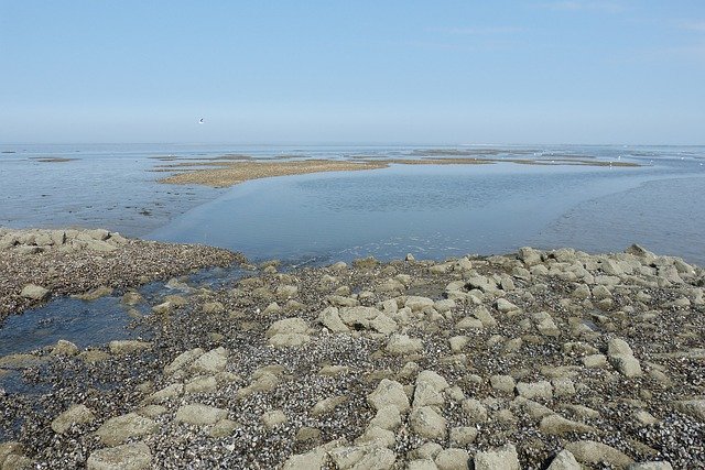 הורדה חינם Sea Neuharlingersiel North - תמונה או תמונה בחינם לעריכה עם עורך התמונות המקוון GIMP