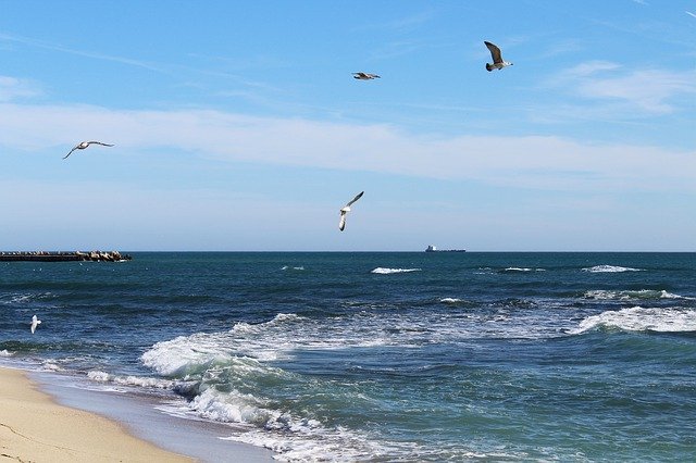 Free download Sea November Nature -  free free photo or picture to be edited with GIMP online image editor