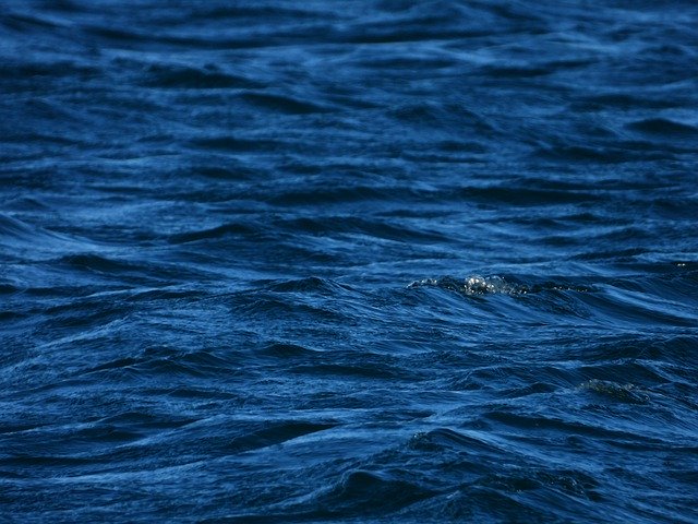 Скачать бесплатно Sea Ocean Blue - бесплатное фото или изображение для редактирования с помощью онлайн-редактора изображений GIMP