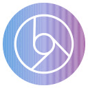 Search with Gemini Bard Summarizer  screen for extension Chrome web store in OffiDocs Chromium