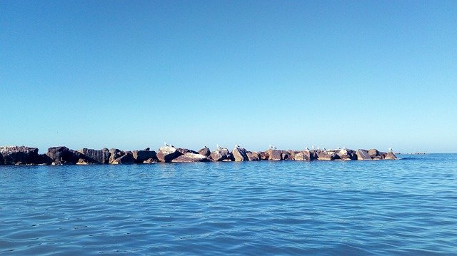 Скачать бесплатно Sea Rocks Seagulls - бесплатная фотография или картинка для редактирования с помощью онлайн-редактора изображений GIMP