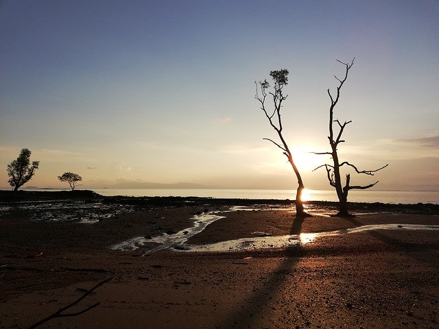 Muat turun percuma Sea Sand Sunset In The - foto atau gambar percuma untuk diedit dengan editor imej dalam talian GIMP