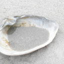 Seashells and sand  screen for extension Chrome web store in OffiDocs Chromium