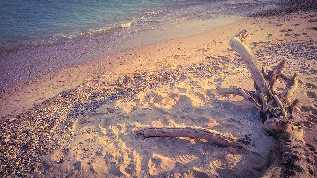 模板照片 Sea Shore Sand - 用于 OffiDocs