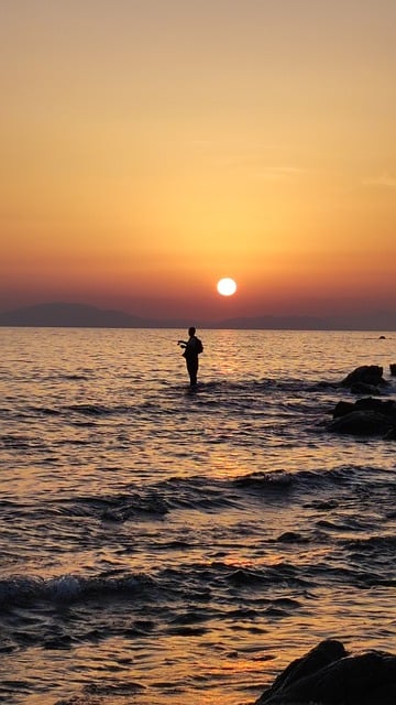 免费下载海日出海滩海洋黄昏免费图片使用 GIMP 免费在线图像编辑器进行编辑