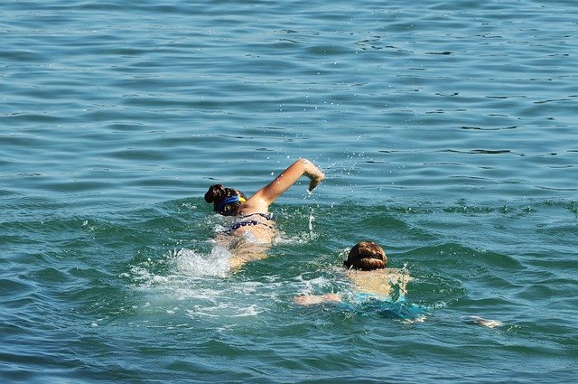 Free download Sea Swimming Rippled -  free photo or picture to be edited with GIMP online image editor