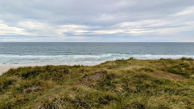 Free download sea sylt dune north sea nature free picture to be edited with GIMP free online image editor