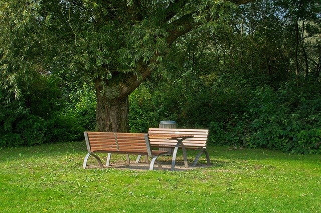 Free picture Seat Trees Green Resting -  to be edited by GIMP free image editor by OffiDocs