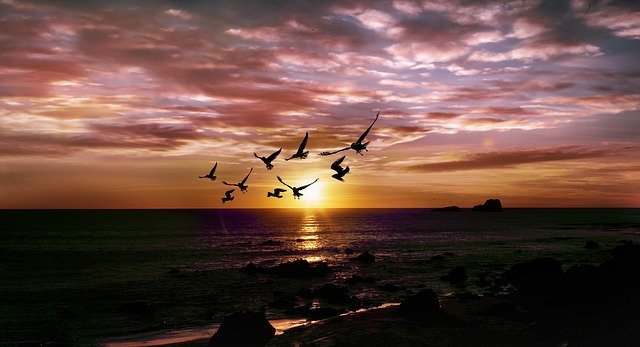 Unduh gratis Sea Twilight Sunset - foto atau gambar gratis untuk diedit dengan editor gambar online GIMP