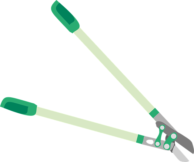 Free download Secateurs Scissors Tool - Free vector graphic on Pixabay free illustration to be edited with GIMP free online image editor