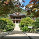 Secluded Temple Grounds in Autumn  screen for extension Chrome web store in OffiDocs Chromium