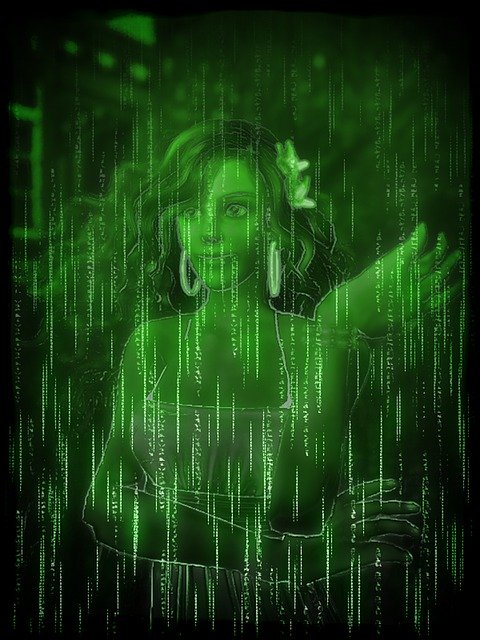 Free download Second Life Avatar Matrix -  free illustration to be edited with GIMP free online image editor