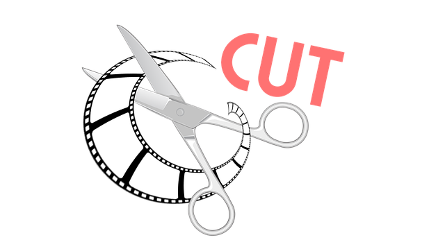 Free download Section Cut Film -  free illustration to be edited with GIMP free online image editor