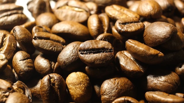 Free download seeds coffee closeup harvest free picture to be edited with GIMP free online image editor