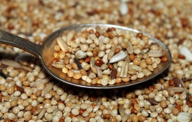 Free download Seeds Grains Spoon -  free photo or picture to be edited with GIMP online image editor