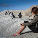 See the penguins  screen for extension Chrome web store in OffiDocs Chromium