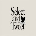 Select to Tweet  screen for extension Chrome web store in OffiDocs Chromium