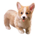 Self Management Assistant  screen for extension Chrome web store in OffiDocs Chromium