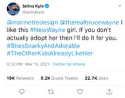 Free download Selina New Wayne free photo or picture to be edited with GIMP online image editor