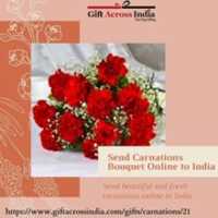 Free download Send Carnations Bouquet Online To India free photo or picture to be edited with GIMP online image editor