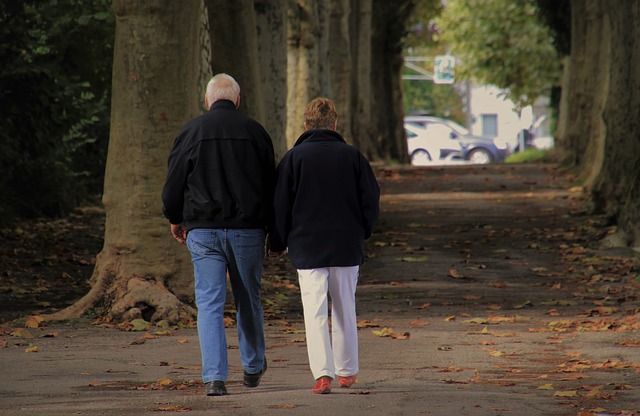 Free graphic senior couple autumn walk two to be edited by GIMP free image editor by OffiDocs