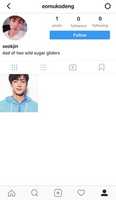 Free download seokjins fake profile free photo or picture to be edited with GIMP online image editor