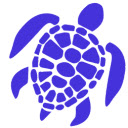 SEO Turtle Analyzer  screen for extension Chrome web store in OffiDocs Chromium