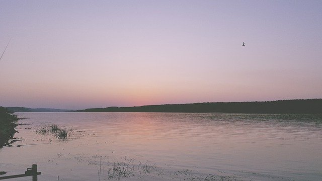 Unduh gratis Serbia Sungai Danube - foto atau gambar gratis untuk diedit dengan editor gambar online GIMP