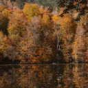 Serene Autumn Forest Lake in Bolu, Türkiye  screen for extension Chrome web store in OffiDocs Chromium