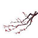 Serene Blossom  screen for extension Chrome web store in OffiDocs Chromium