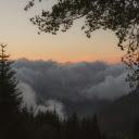 Serene Mountain Sunset with Clouded Forest View  screen for extension Chrome web store in OffiDocs Chromium