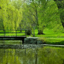 Serene Park Bridge  screen for extension Chrome web store in OffiDocs Chromium